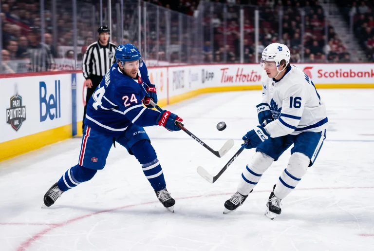 Analyse du marché des paris pointeur NHL pour miser sur les passeurs